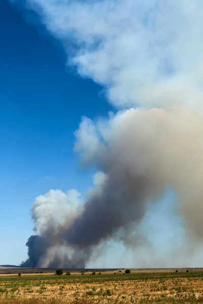 Endüstriyel Yangının Zehirli Dumanı Gökyüzünde Zehirli Hava Kirliliğine Neden Olur — Stok fotoğraf