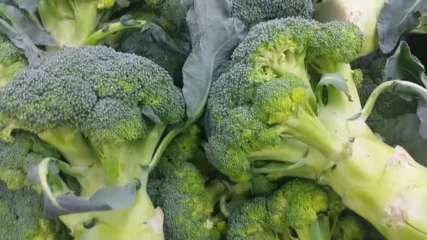 Sfondo Vegetale Cavolo Broccolo Mucchio Verde Supermercato Pieno Vitamine Minerali — Video Stock