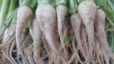 Beyaz turp kökleri yeşil yaprakları ile pazarda yer
