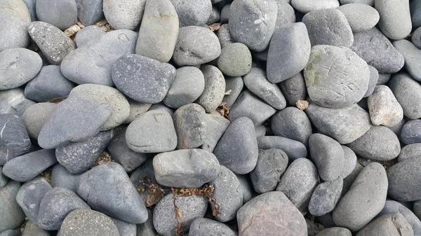 Fundo de textura: Pedrinhas de rocha, pequenas, arredondadas, lisas pibbles — Fotografia de Stock