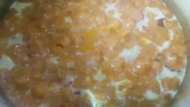 Крупним Планом Вид Киплячу Їжу Посуд Гарячою Парою Приготування Домашньої — стокове відео