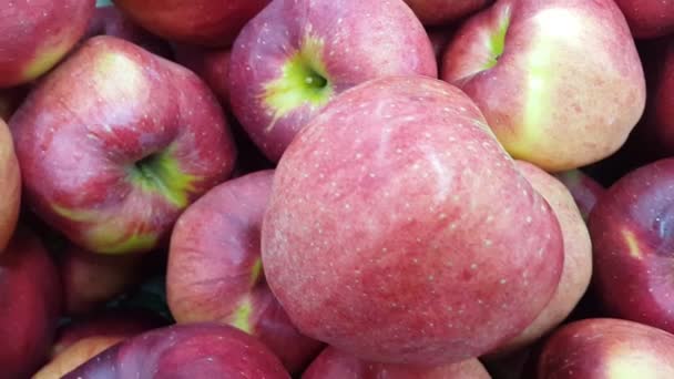 Hasat Mevsiminde Taze Toplanmış Kırmızı Bal Sulu Elmaların Yakın Görüntüsü — Stok video