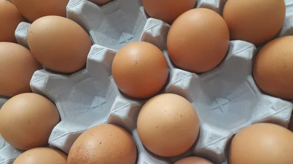 Volné místo v krabici od vajec nebo držáku na vejce nebo v papírovém tácu s farmářskými kuřaty — Stock fotografie
