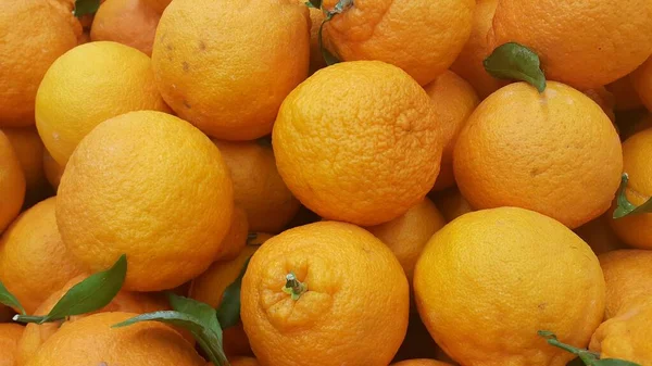 Gesunde, frische Bio-Orangen Hintergrund für Text und Werbung — Stockfoto