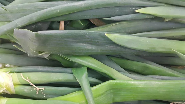 Vista de cerca de las frondosas hojas verdes de cebolla. Fondo vegetal . —  Fotos de Stock