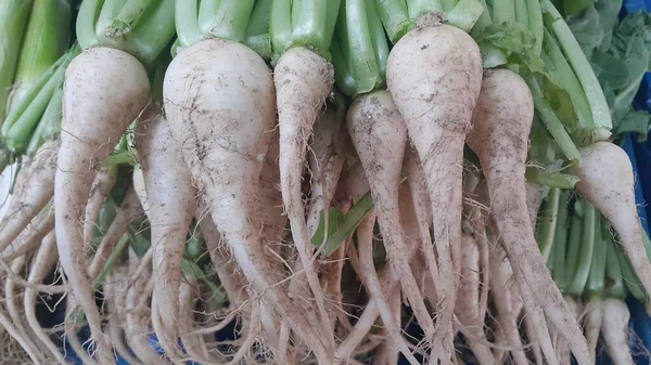 Raízes de rabanete branco com folhas verdes colocadas no mercado — Fotografia de Stock