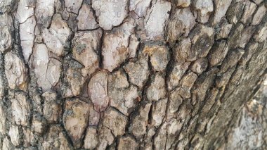 Arka plan ve doku için makro yakın doku