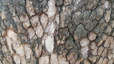 Arka plan ve doku için makro yakın doku