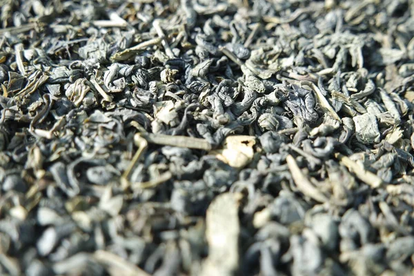 绿茶干叶或紫锥菊近景 — 图库照片
