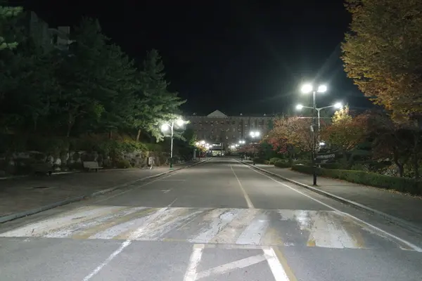 Vista nocturna de un camino peatonal pavimentado o camino a pie con árboles en los lados — Foto de Stock
