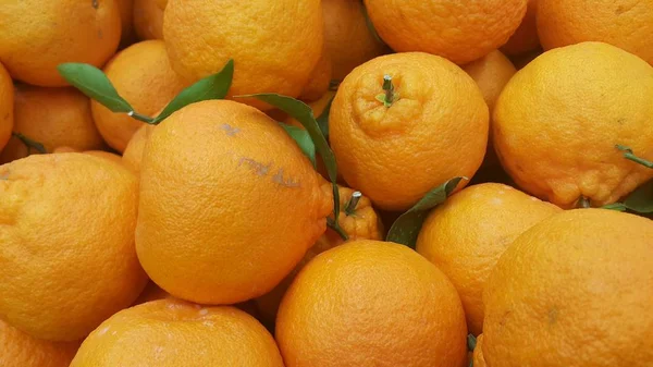 Gesunde, frische Bio-Orangen Hintergrund für Text und Werbung — Stockfoto