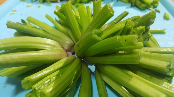近距离欣赏菠菜或 paalak saag 郁郁葱葱的绿叶基地 — 图库照片