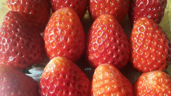 Pile de fraises bio fraîches et saines en supermarché à vendre — Photo