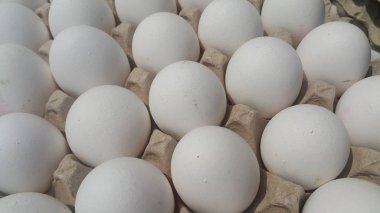 Taze çiftlik tavuk beyaz yumurta bir yumurta karton pazara yerleştirilir