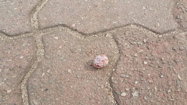舗装された赤レンガの床にイチョウビロバナッツ — ストック写真