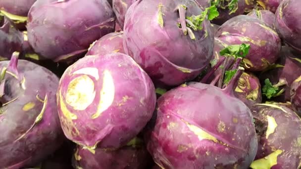 Süpermarkette Satılık Mor Taze Kohlrabi Şalgamının Yakın Görüntüsü Şalgam Büyük — Stok video