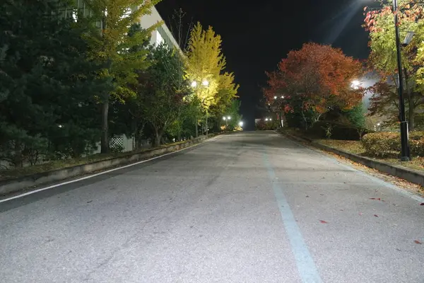 Vista noturna de um caminho pedestre pavimentado ou caminho a pé com árvores nas laterais — Fotografia de Stock