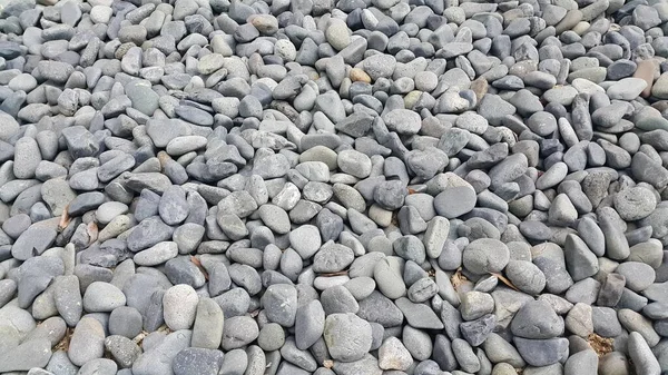 Fundo de textura: Pedrinhas de rocha, pequenas, arredondadas, lisas pibbles — Fotografia de Stock
