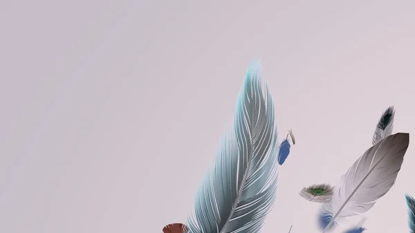 テキストや広告のためのコピースペースと背景に隔離された柔らかい絹のような羽 繊細な毛皮と現実的な外観を持つ羽の背景 3Dレンダリング — ストック写真