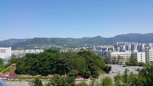 Cityscape view of developed country with green trees in the background and skyscraper buildings