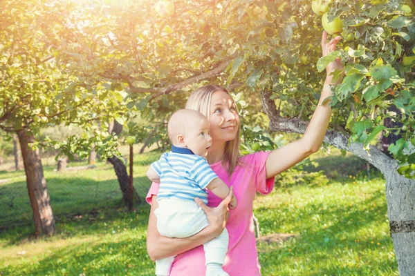 Anne ile bebek malzeme çekme elma bir elma ağacı