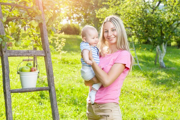 Madre con el bebé recogiendo manzanas de un manzano —  Fotos de Stock