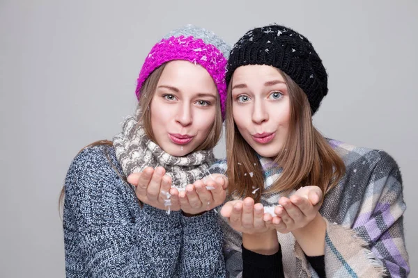 Hermanas gemelas vestidas con ropa cálida de invierno — Foto de Stock