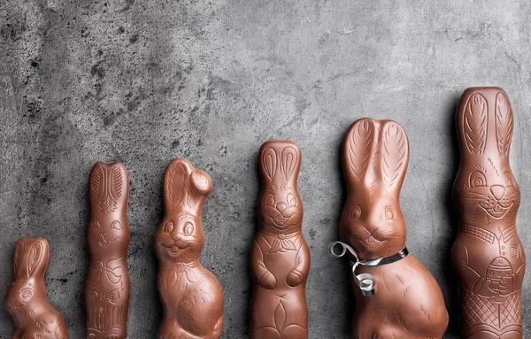 Různé čokoládové velikonoční zajíčky na rustikální pozadí — Stock fotografie