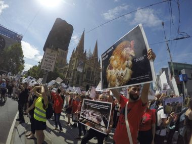 Melbourne, Avustralya: Ocak 2015: kişilik büyük bir kalabalık trafik yöntemleri Avustralya tarım yoğun protesto için durduruldu. Bağırarak ve posterlerini açmaları sallayarak
