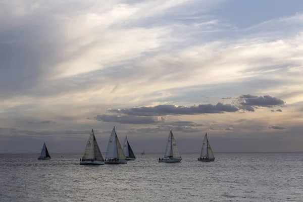 帆船赛在圣基尔达码头的海洋上 他们是窝藏 — 图库照片