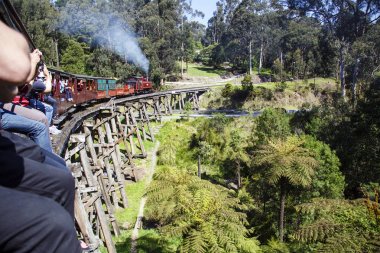 Melbourne, Avustralya: Ekim 2015: Billy şişirme olduğunu bir tarihi 2ft 6 in dar miras demiryolu Melbourne yakınındaki Dandenong aralıklardaki ölçmek. Trende oturan yolcular görülebilir.