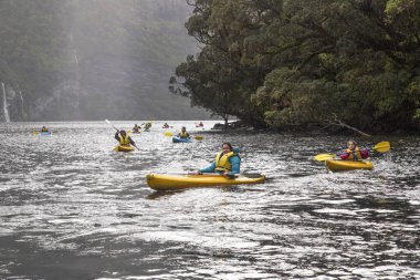 Şüpheli ses, Yeni Zelanda: 18 Ekim 2015: grup genç yetişkin şüpheli ses Kayak. Kameranın doğru yelken ve hepsi hi-viz giyiyor can yelekleri.