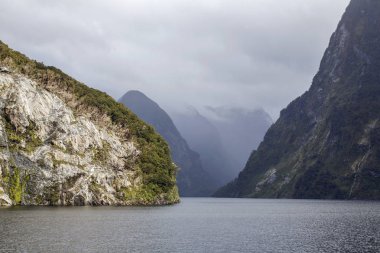 Milford ses Fiordland - South Island Yeni Zelanda