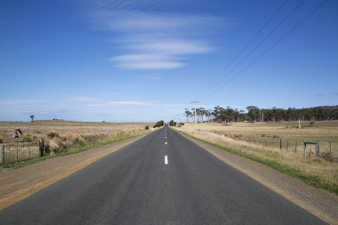 Tasman Highway açık arazide Tasmania East Coast üzerinde kuzeye.