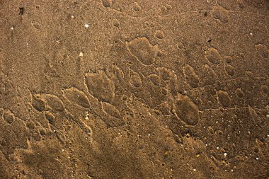 Kum yakın dokulu arka plan.