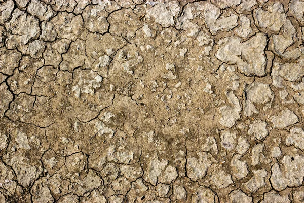 Getextureerde droge grond van scheiding. — Stockfoto