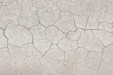 Kuraklık kuru zemin ağaç ölü arka plan.