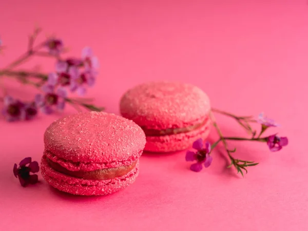close-up of pink french macarons with flowers on pink table background