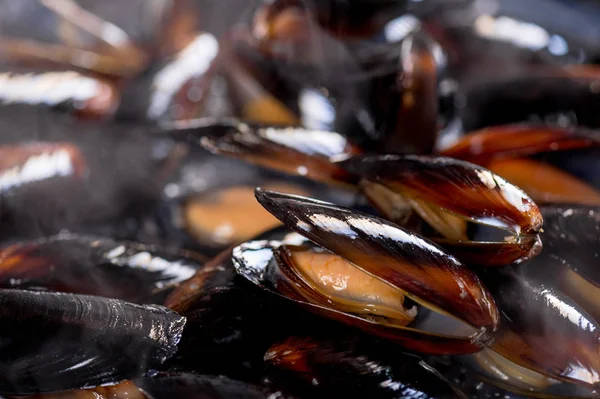 Close Steamed Mussels Pan — Stock Photo, Image