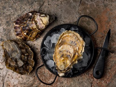 buz üzerinde bıçak taş zemin üzerine siyah metal kase taze lezzetli istiridye ve yakın çekim