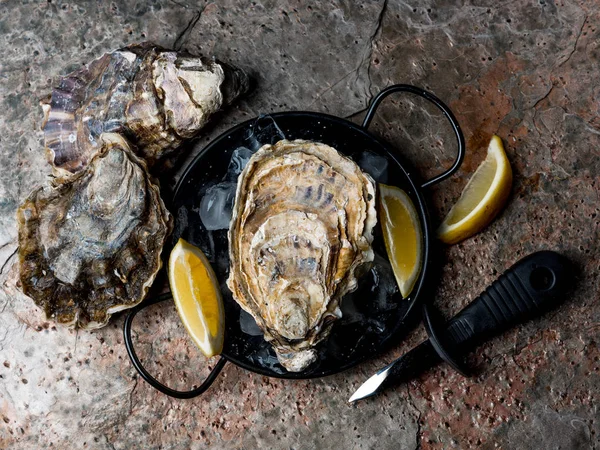 Close Van Heerlijke Oesters Ijs Zwarte Metalen Kom Met Verse — Stockfoto