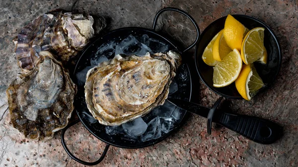 Fresh Oysters Pan Ice Lemon Slices Knife — Free Stock Photo