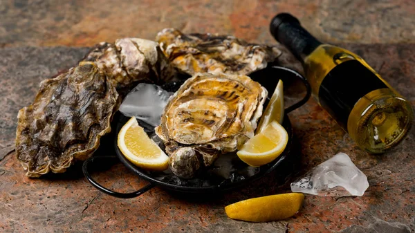 Verse Oesters Met Plakjes Citroen Ijs Olijfolie Fles — Stockfoto