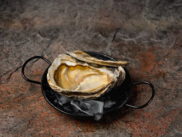 Huîtres Fraîches Avec Glace Dans Casserole — Photo