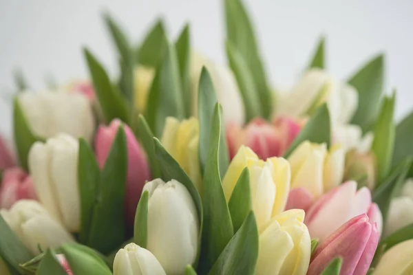 Nahaufnahme Eines Schönen Straußes Farbiger Frühlingsblumen — Stockfoto