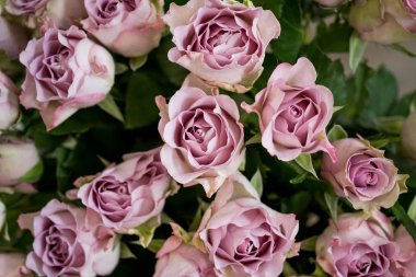 Pembe gül buketi yakın çekim 