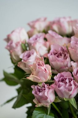 Pembe gül buketi gri arka plan üzerinde yakın çekim