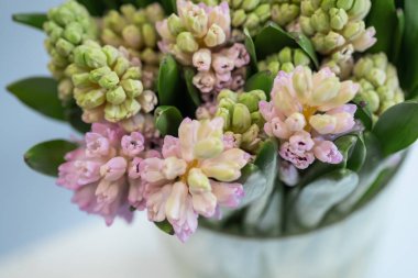 sümbül çiçek buketi vazoda yakın kopya alanı ile en iyi görünümü kadar renk