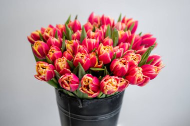 kırmızı lale çiçek buketi kopya alanı ile beyaz arka planda siyah kova