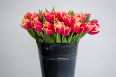 kırmızı lale çiçek buketi kopya alanı ile beyaz arka planda siyah kova